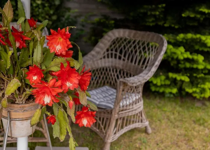 A.s.apartamenty Bozena Bocian 니에초르체